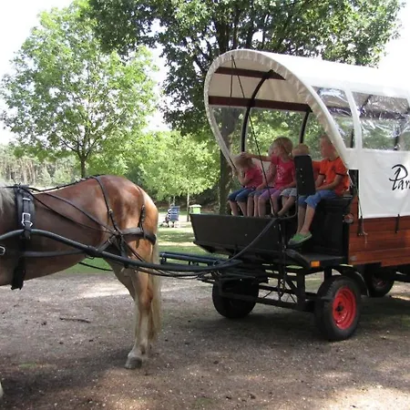 Lyxtält Glamping Limburg *